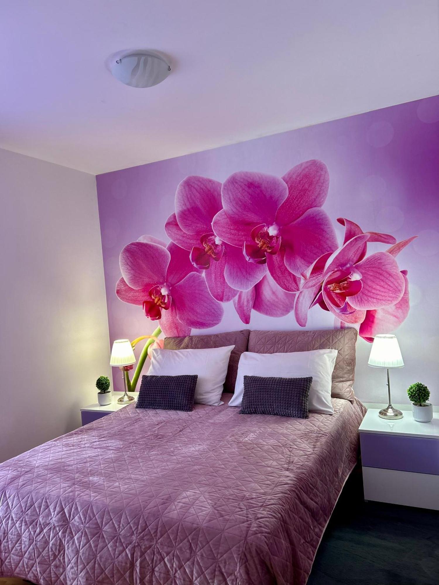Villa Kiki โบล ภายนอก รูปภาพ